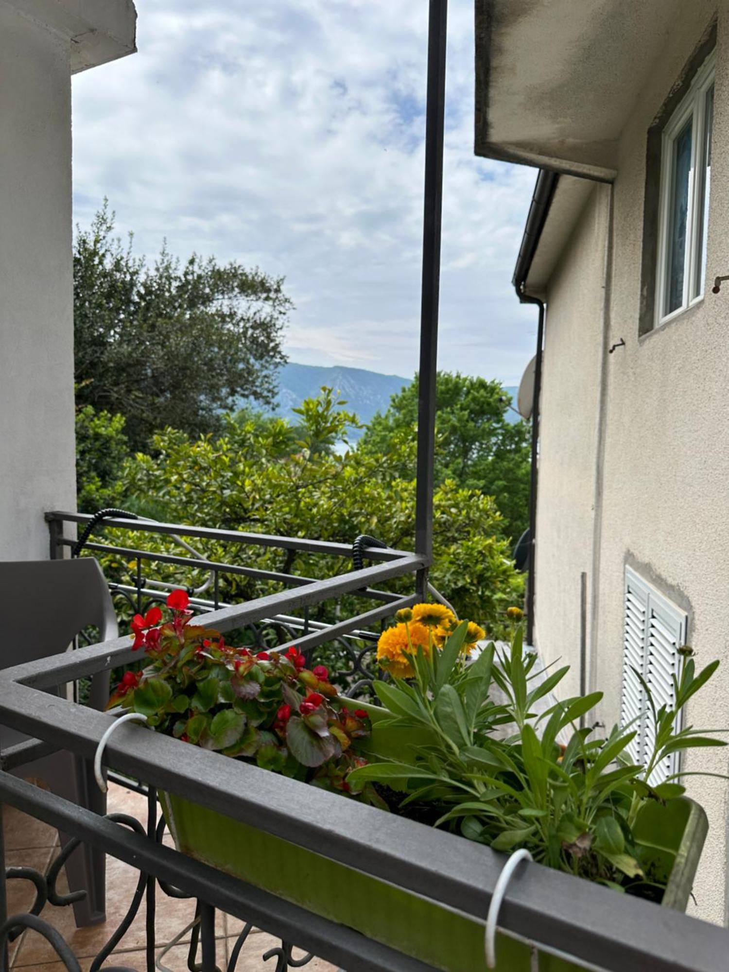 Apartman Nina Risan Extérieur photo